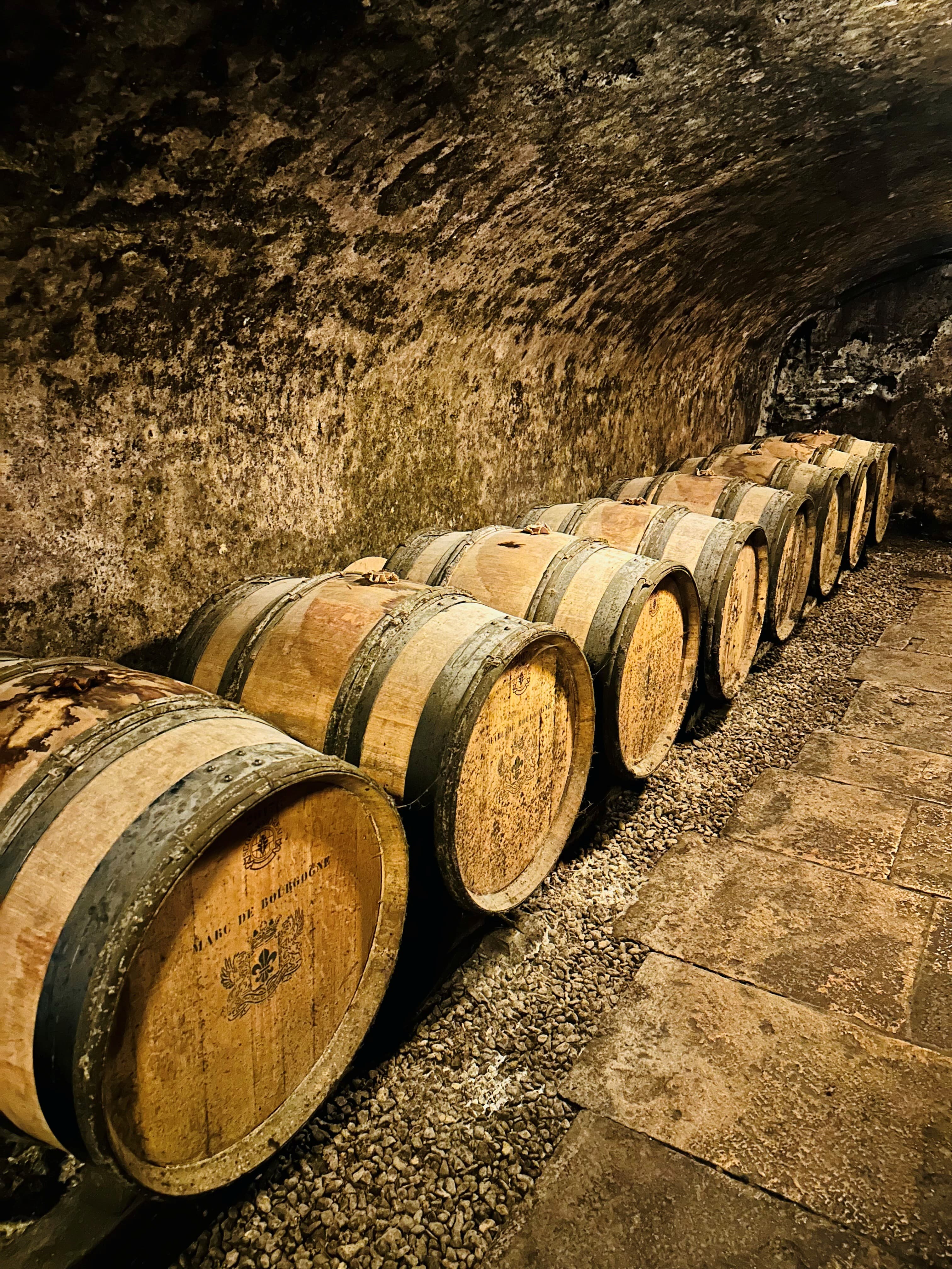 Weinprobe bei Château de Meursault: Burgundische Klasse zwischen den Weinbergen