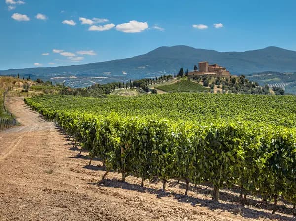 Ein Wochenende zwischen den Weinbergen des Chianti