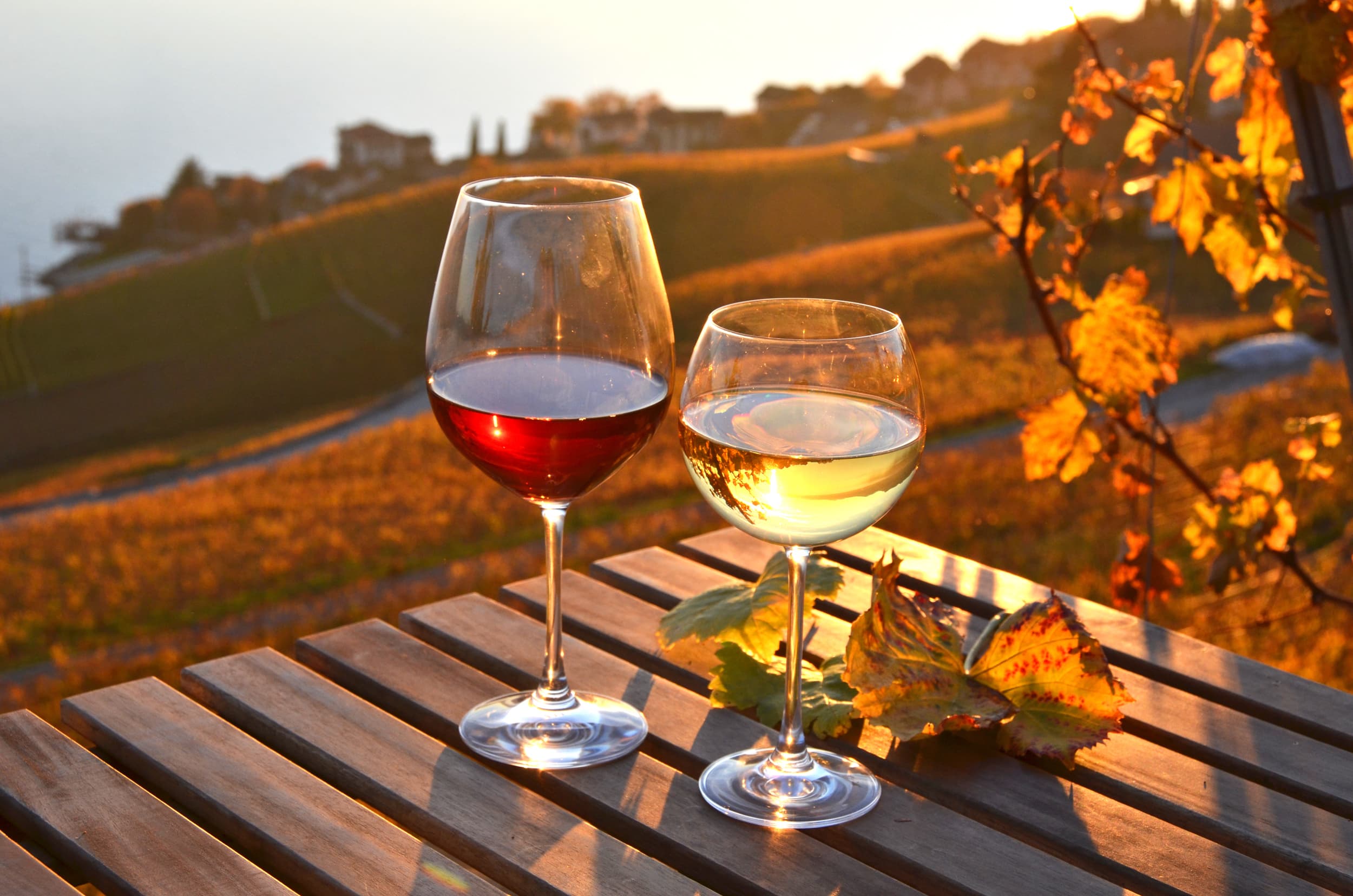 Zum ersten Mal auf Weinreise? 10 Tipps