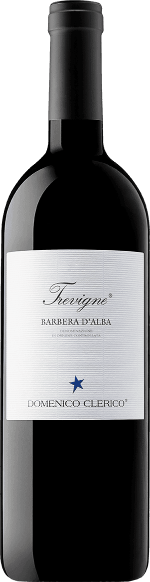 Flasche Trevigne Barbera d’Alba DOC