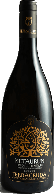 Flasche Metaurum Bianchello del Metauro DOC Superiore 2023 aus einer Weingut-Kollektion