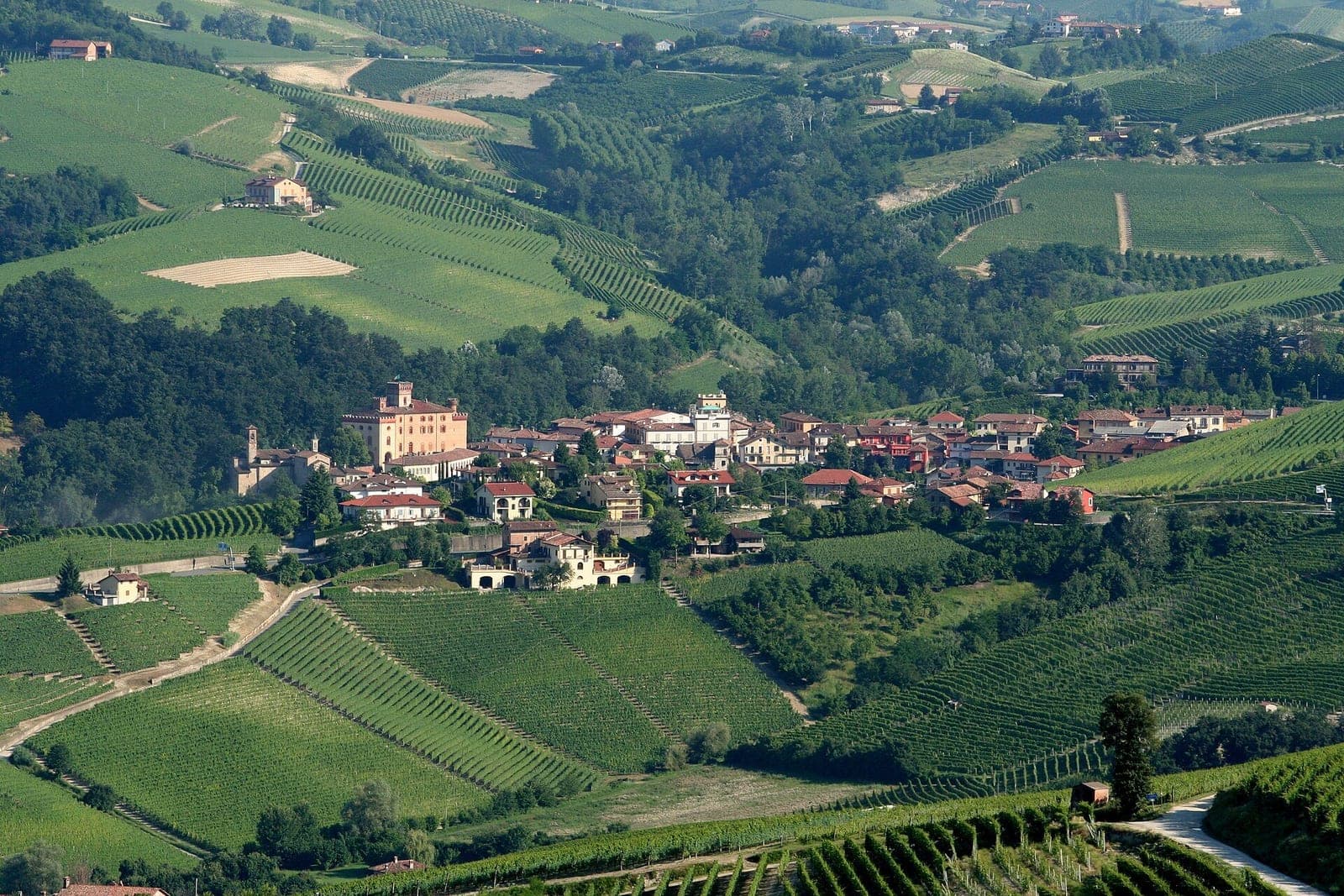 Jenseits von Chardonnay und Merlot: warum lokale Rebsorten deine Weinreise spannender machen