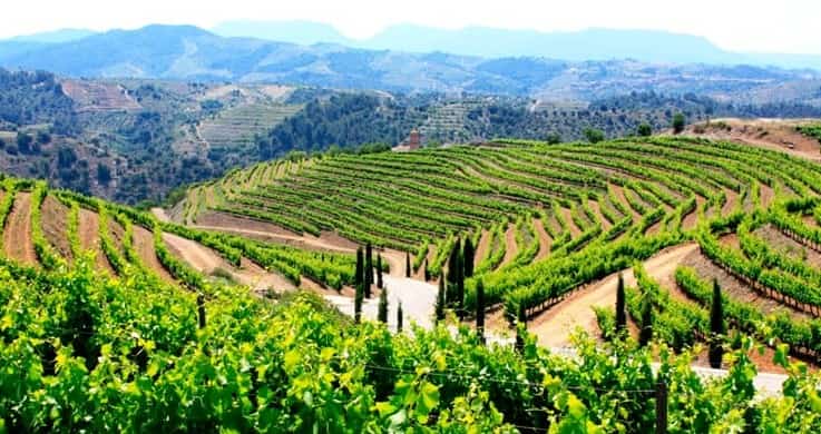 Weinreise Priorat
