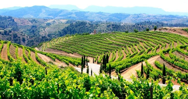 Wijnstreek Priorat